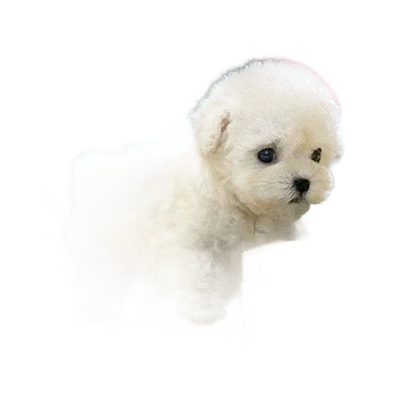 Robot Puppy Plush Doll - Cute Stuffed Animal Toy